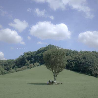 kok全站app官网登录入口