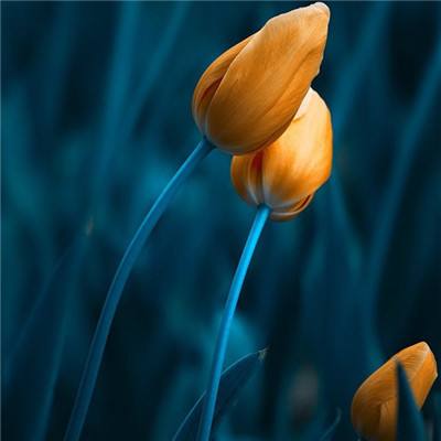 百家家乐APP下载安装